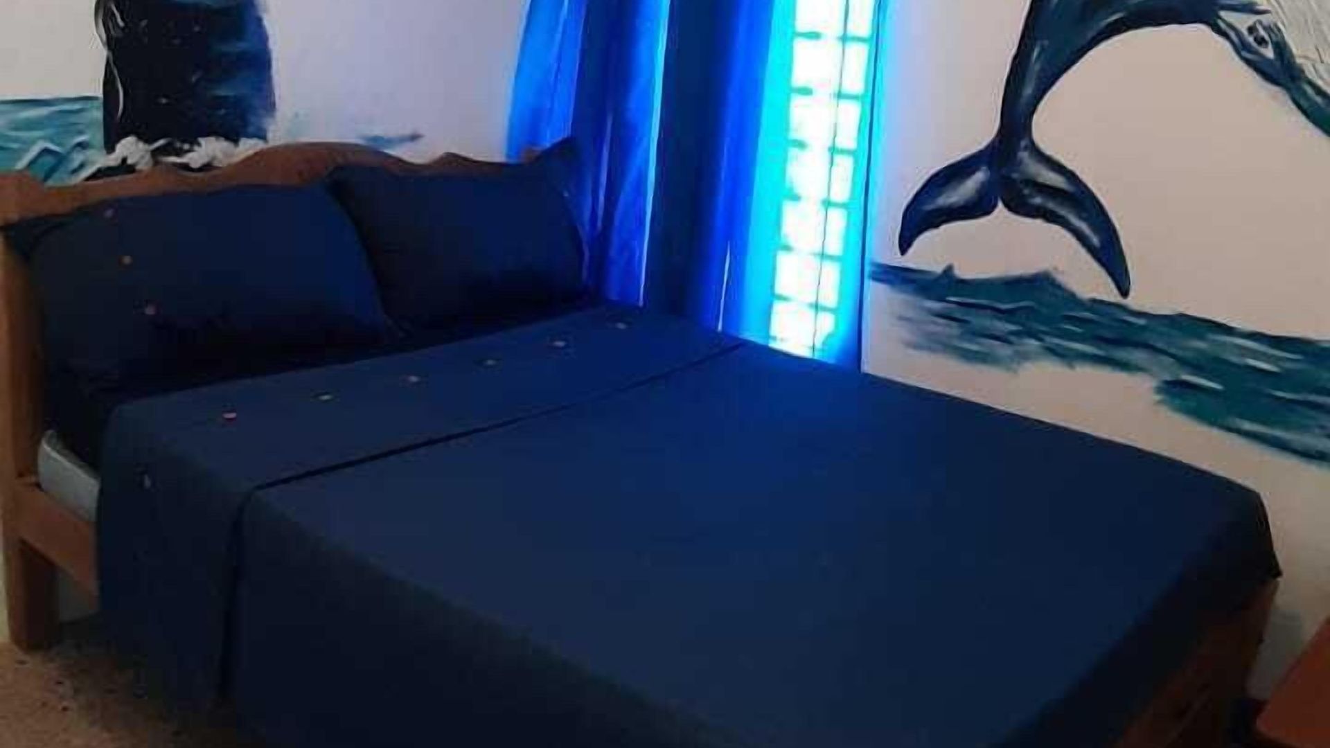 Guest house Aquarium