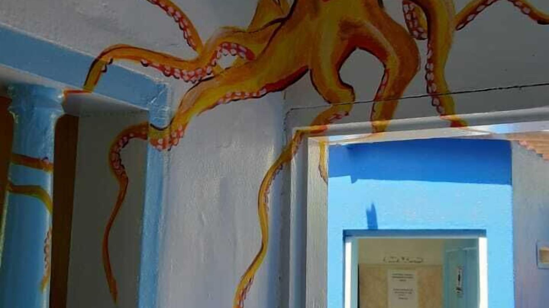 Aquarium Guest house