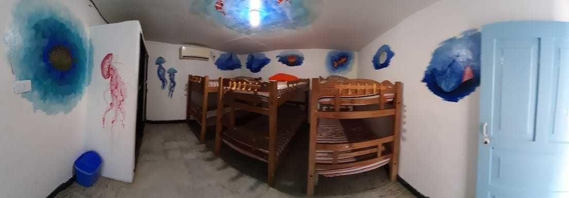 Aquarium 2*