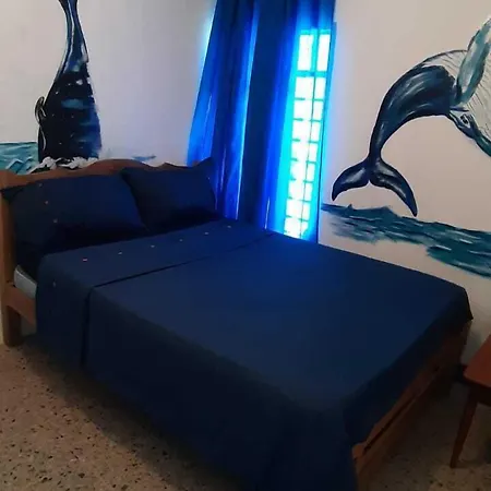 Guest house Aquarium