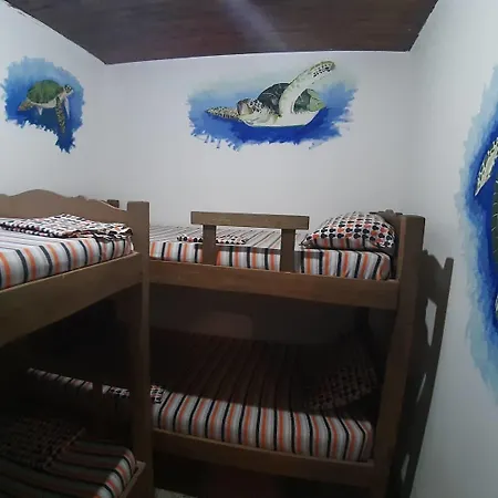 Aquarium Guest house